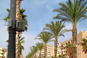 La carretera de Alicún es una vía conflictiva.