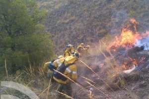 Efectivos del Infoca trabajando hoy sobre el terreno en Cantoria.