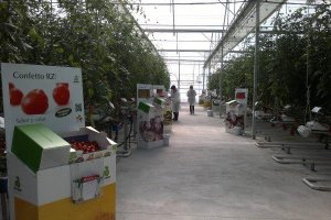 Imagen del actual Centro de Ensayos y Demostraciones de Rijk Zwaan en El Ejido.