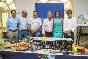 Imagen de la presentación en Diputación 