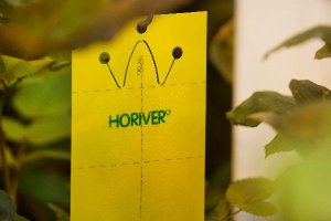 Placa Horiver de Koppert.