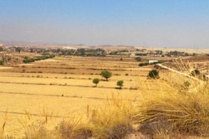 Aspecto actual de terrenos que antes formaban parte de la fértil vega de Turre.