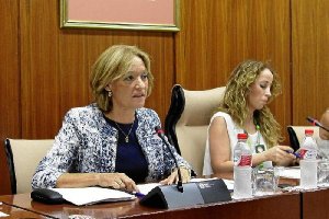 La consejera durante su comparecencia ante el Parlamento de Andalucía para explicar sus líneas de trabajo. 