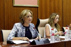 Ortiz durante la presentación en el Parlamento.