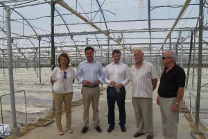 Visita a unos de los invernaderos que cuentan con gas natural.