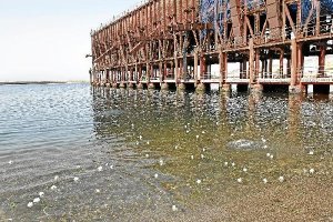 Avanzados los trámites para habilitar una rampa para la botadura de pequeñas embarcaciones entre el club de mar y el Cable Inglés . 