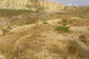 Terrenos de la antigua depuradora