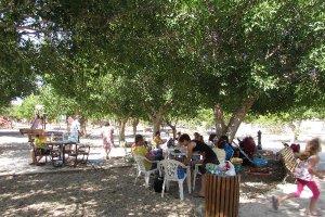Encuentro de familias de acogida en el Parque del Boticario.