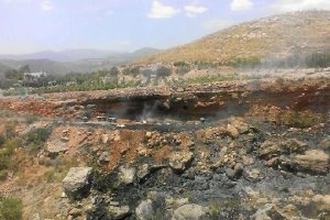 Parte de la superficie quemada en Enix junto a la zona donde se encuentran las colmenas.