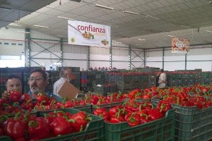 Una de las subastas de Agrupaejido en El Viso