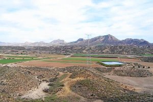 Zona de la reserva de la tortuga mora.