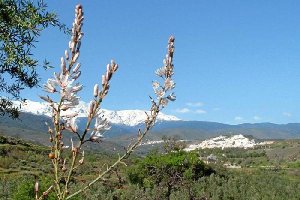 Vista general de Sierra Nevada, una de las áreas cinegéticas de la provincia.