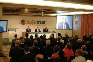 Asamblea de Cajamar ayer en La Envía