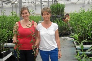 Isabel Santorromán e Isabel Usero muestran plantas de listas para llevar al campo. 