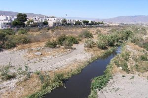 Cauce del río Andarax, foco de plaga de insectos.