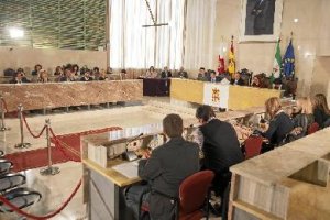 Sesión plenaria en la capital almeriense