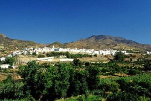 Panorámica del municipio de Albanchez.