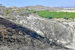 Zona quemada en el paraje de El Saltador. 