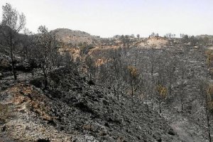 Imagen de ayer de la zona afectada por el incendio.