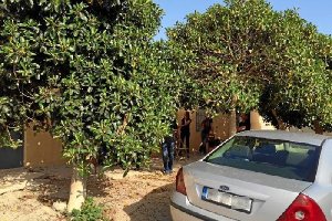 Finca en La Cañada de San Urbano