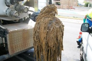 Atasco en canalizaciones.