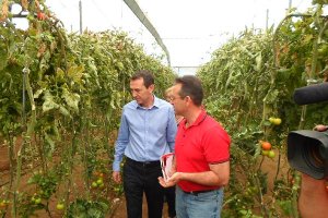 Pérez Navas en su visita a un invernadero del barrio de Bellavista.
