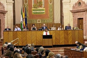 Díaz, en el Pleno de hoy.