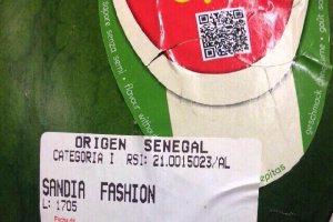 Imagen enviada por COAG.