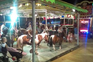 Los ponis de los tradicionales sufren estrés y fuertes dolores.