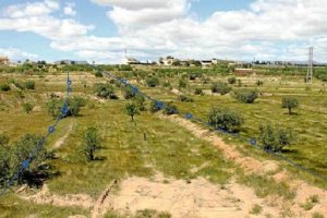 Imagen del trazado que tendrá el nuevo acceso al hospital.