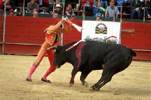 Banderillas de José Cabrera al primer novillo de su carrera.