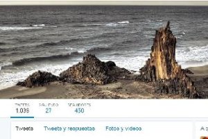 Portal de Twitter de Diputación