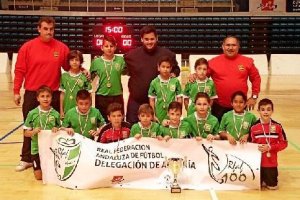 Los alevines del Ahumada han completado una temporada brillante.