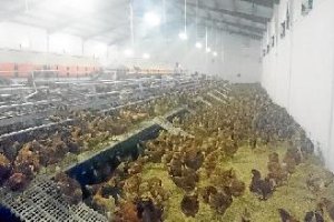 La instalación está a 800 metros de los baños de Alhamilla