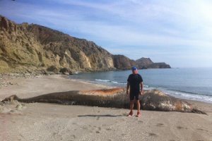 Carlos Abad y el animal