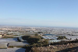 Las ayudas van destinadas a explotaciones del Poniente almeriense.