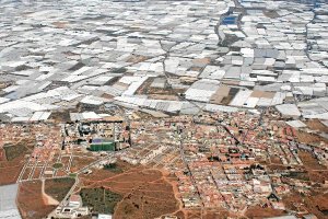 Vista aérea de invernaderos en la provincia