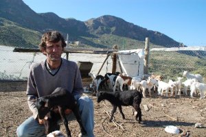 Pedro Maña con parte de su ganado