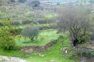 Camino tradicional que recorrE la comarca de los Filabres.
