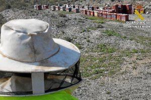 Colmenas localizadas por la Guardia Civil.