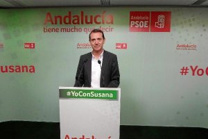 Pérez Navas, secretario de Organización del PSOE ayer en la rueda de prensa