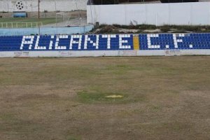 El campo.