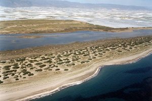 El humedal de Punta entinas atrae a muchos insectos y aves