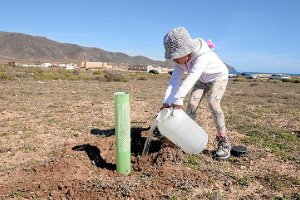 Los más pequeños también ayudaron en la plantación.