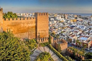 Bonita vista de la Alcazaba obra de Domingo Leiva.
