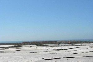 Invernaderos construidos en la Bahía de San Miguel. 