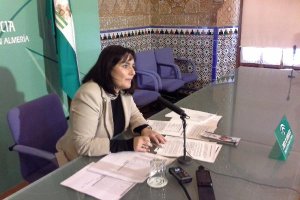 La delegada de Educación, Isabel Arévalo, en rueda de prensa.