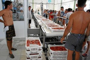 Imagen de la Lonja de Garrucha.