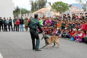 Los escolares atienden a las explicaciones. 