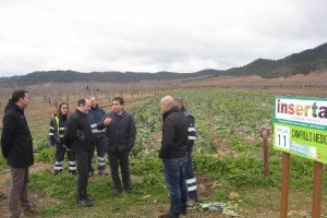 Visita del delegado provincial de la Junta a las explotaciones.
